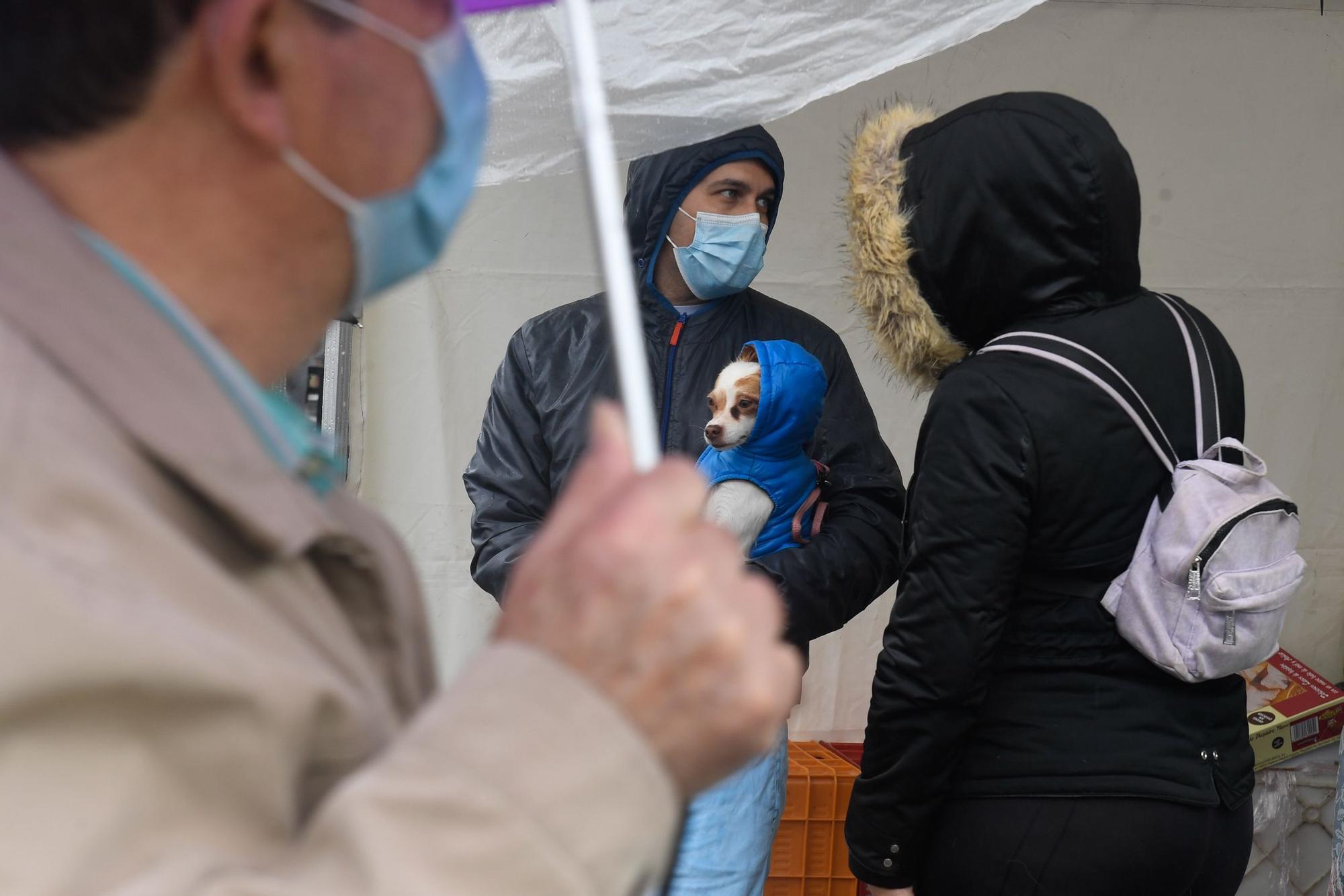 Reapertura del mercadillo de Teror