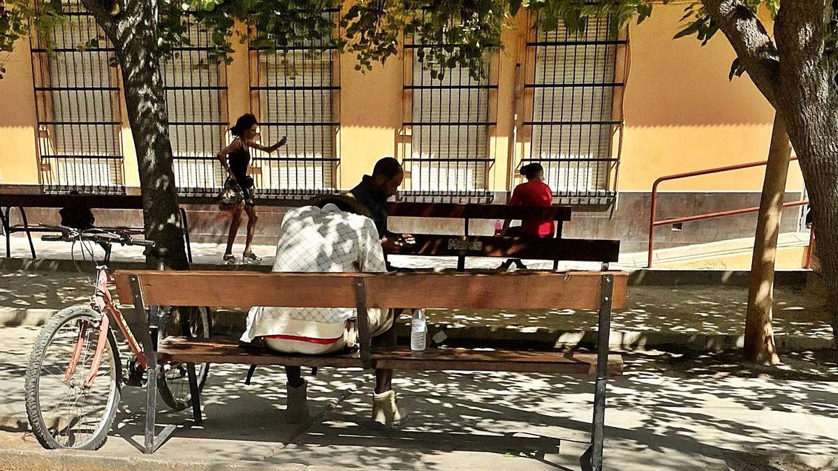 Personas pasan el día entero el parque detrás de la Consejería de Educación en La Fama. | ISRAEL SÁNCHEZ