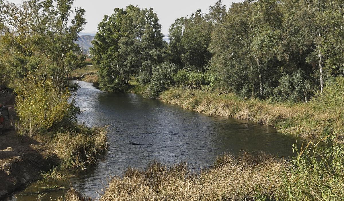 Rio Magro a su paso por l'Alcudia.