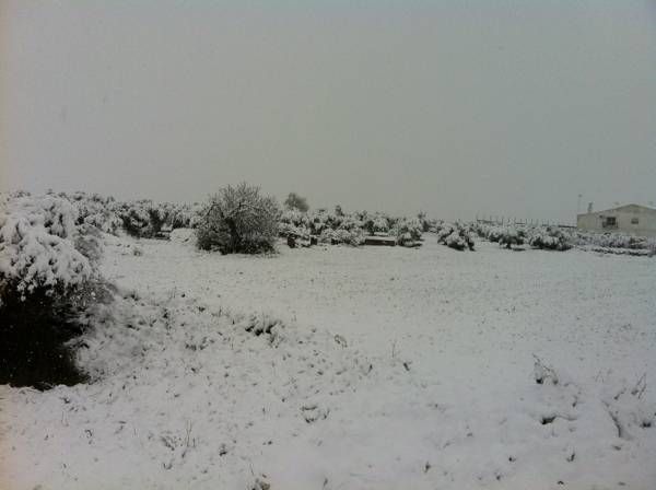 Las fotos de los cordobeses en la nieve