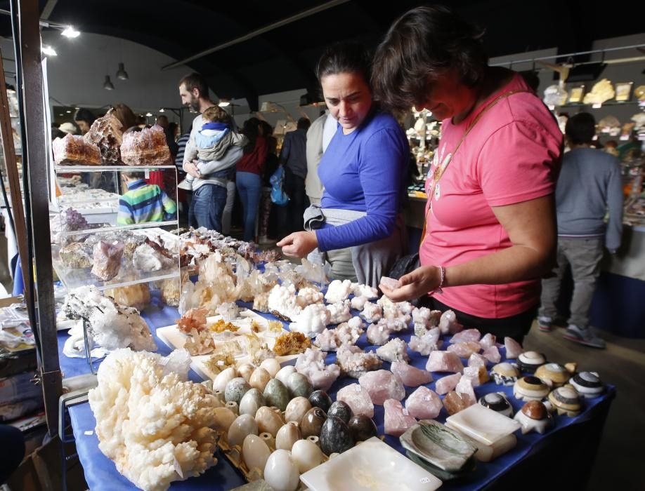 Meteoritos, gemas y fósiles al alcance de la mano en Vigo