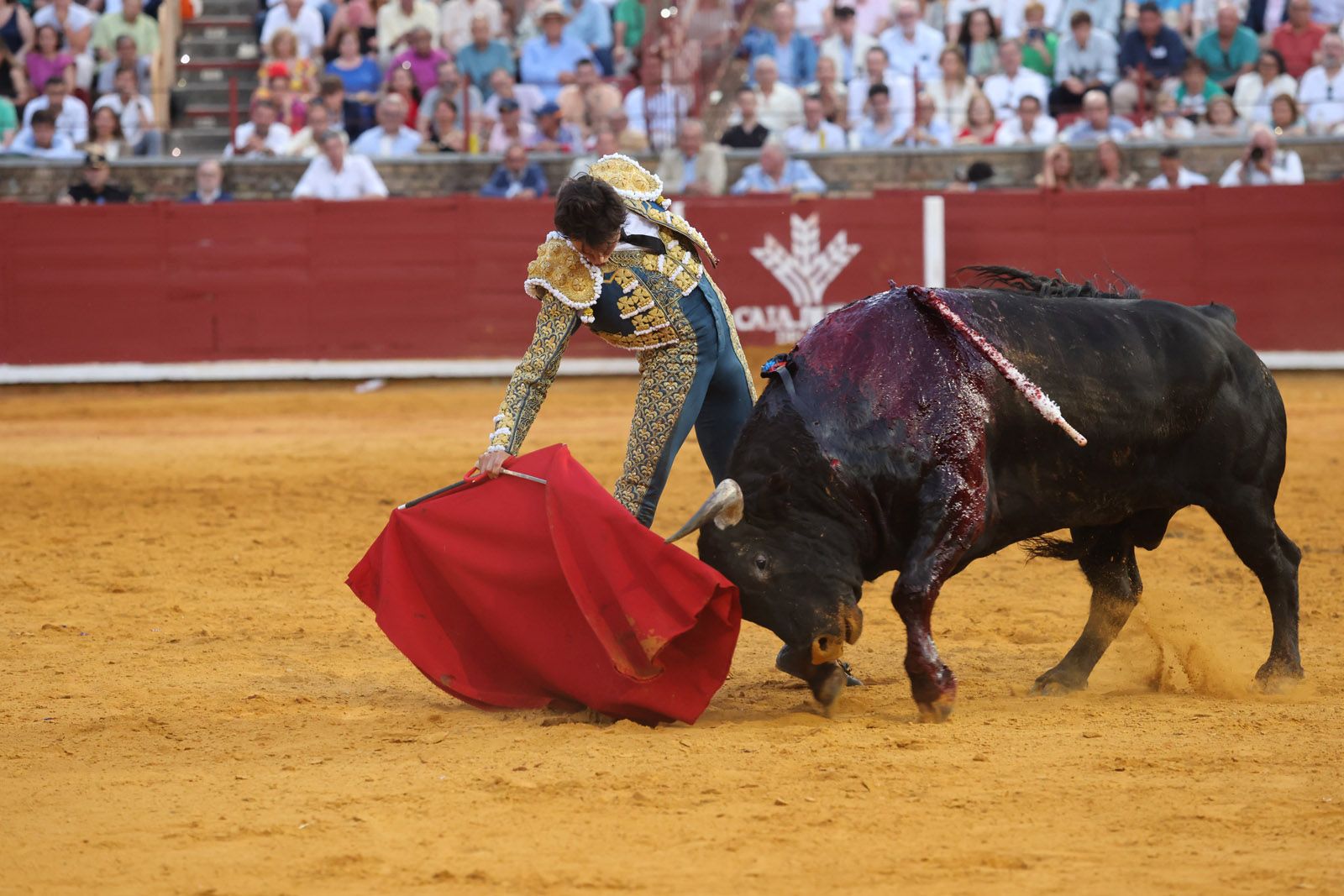 Román toma la alternativa y la puerta grande se abre para Roca Rey y Ortega