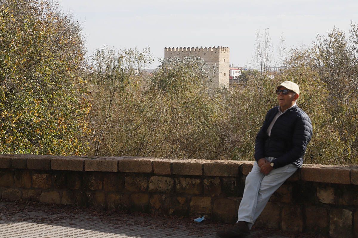 En imágenes el estado de la limpieza de los Sotos de la Albolafia