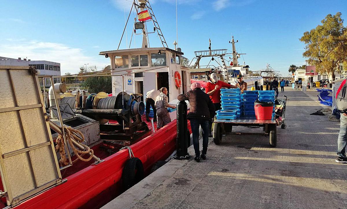 Pescadores de Cullera descargan al llegar al puerto en una imagen de archivo. | JOAN GIMENO