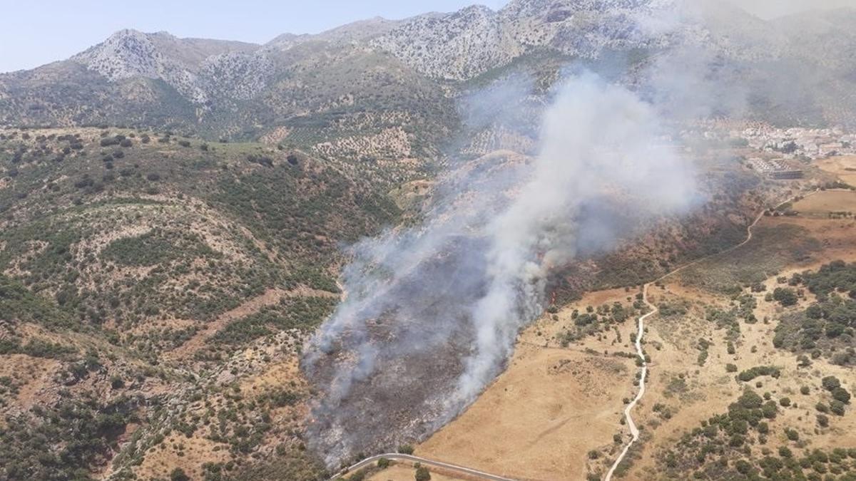 Declarado un incendio en el paraje Estación de Cortes de la Frontera.