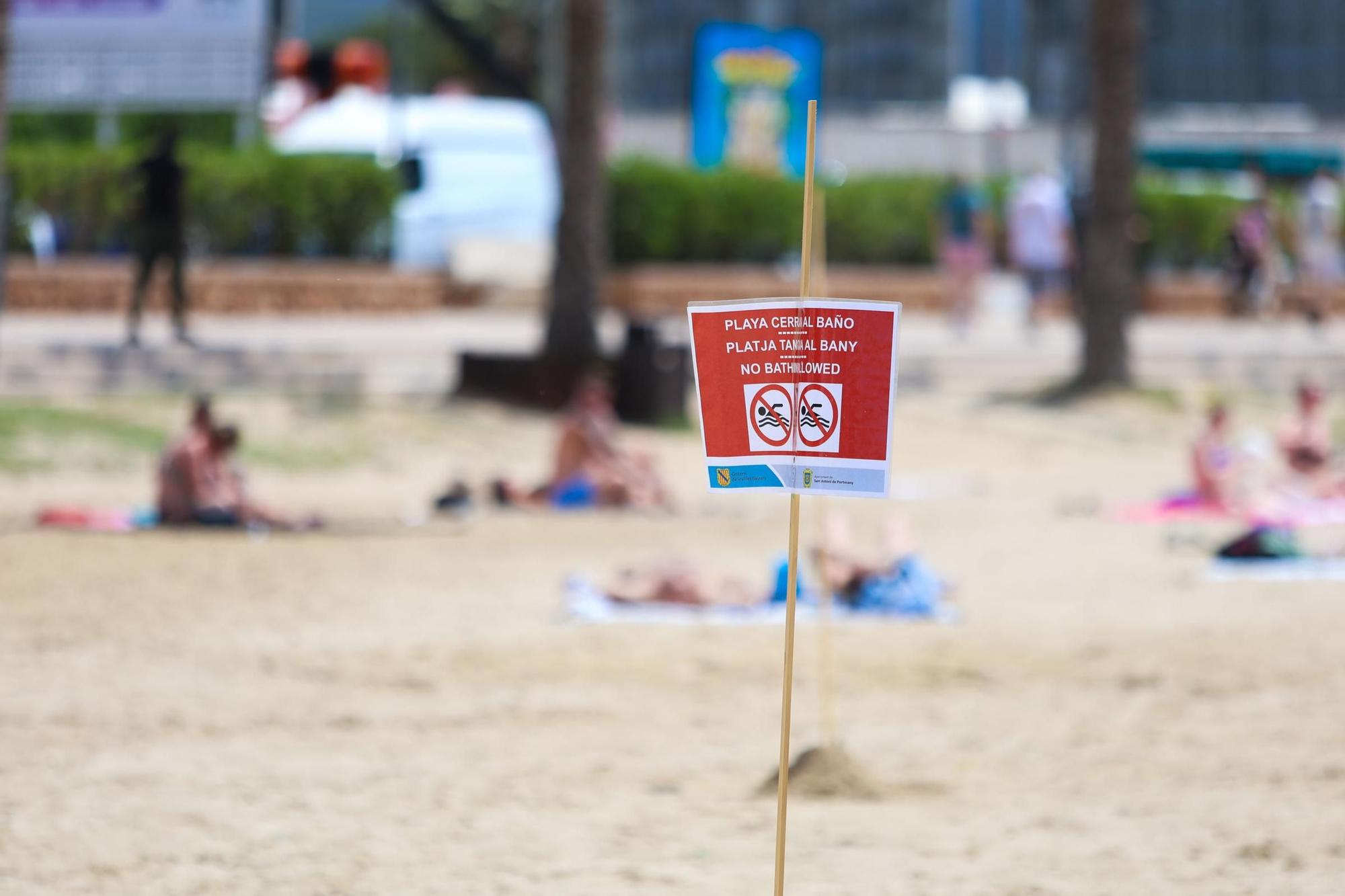 Vertido en la playa Arenal de Sant Antoni