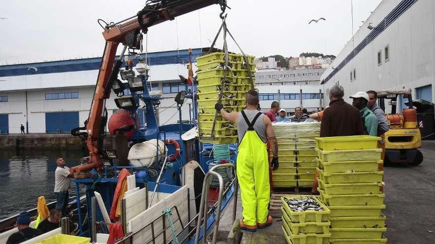 Un grupo de pescadores descarga cajas de pescado en un puerto gallego.