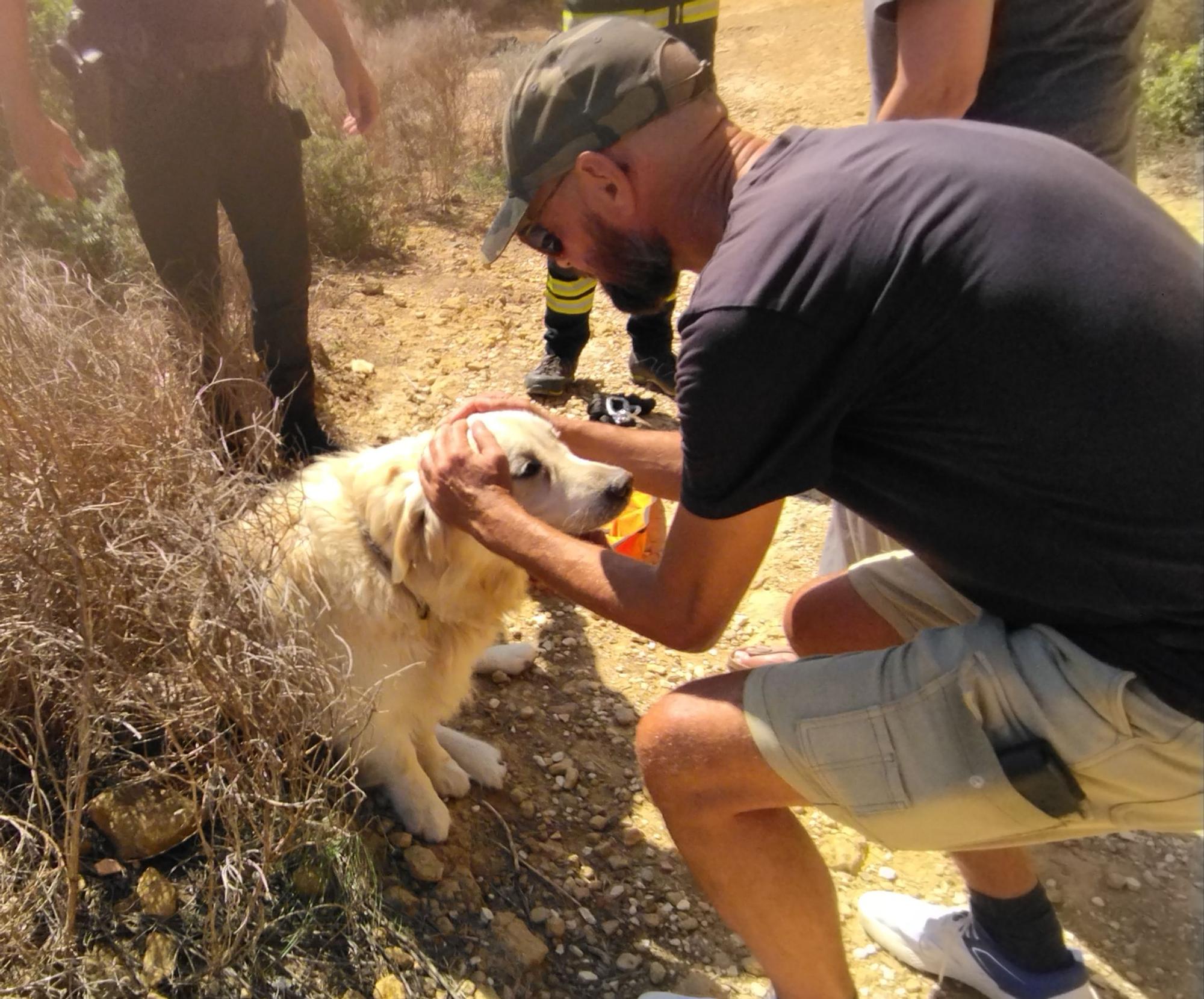 Las imágenes del rescate del perro que ha caído de 30 metros en el acantilado de Xàbia