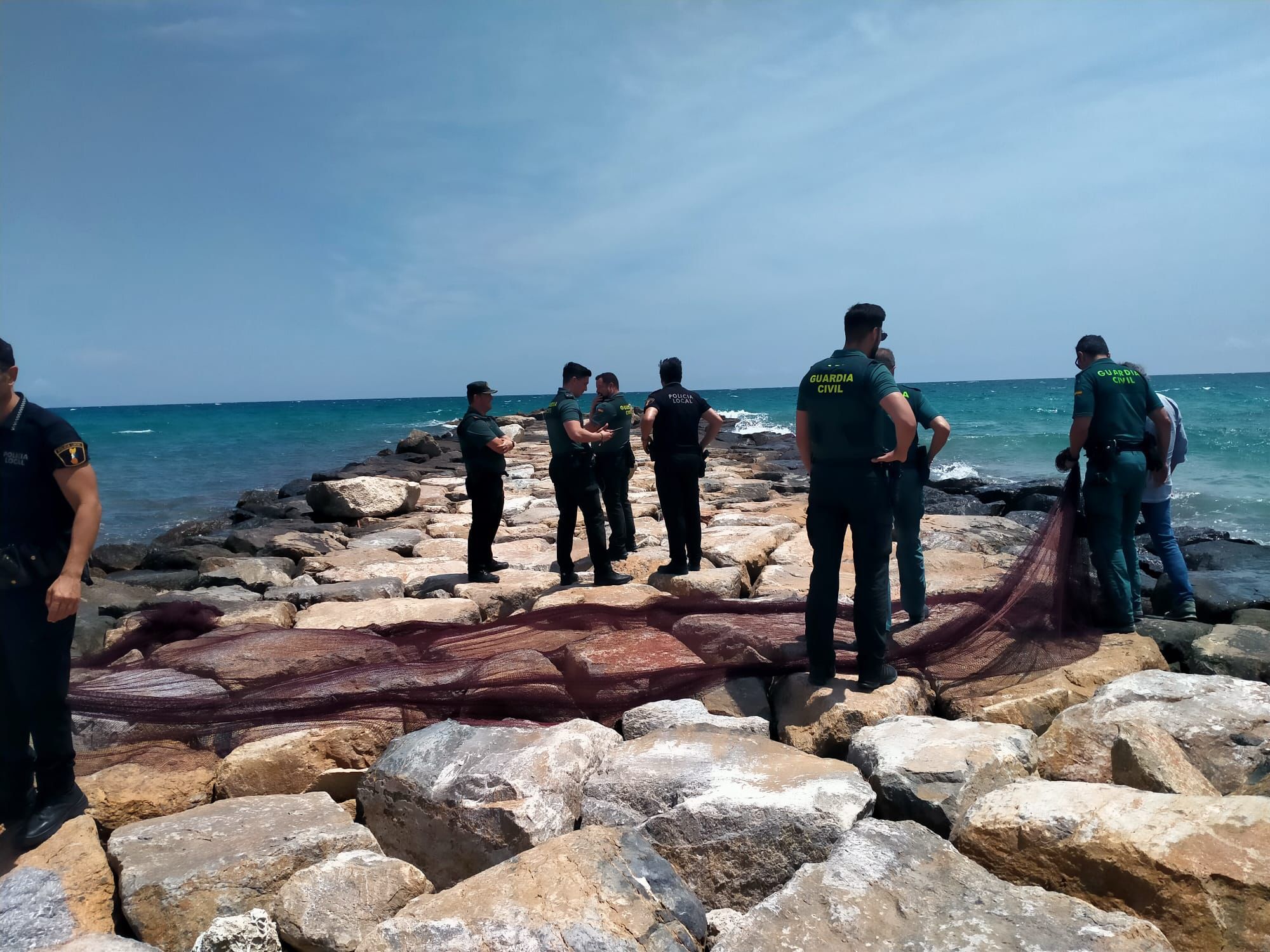 Abaten a un jabalí en El Campello tras obligar de desalojar una playa y dejar dos heridos