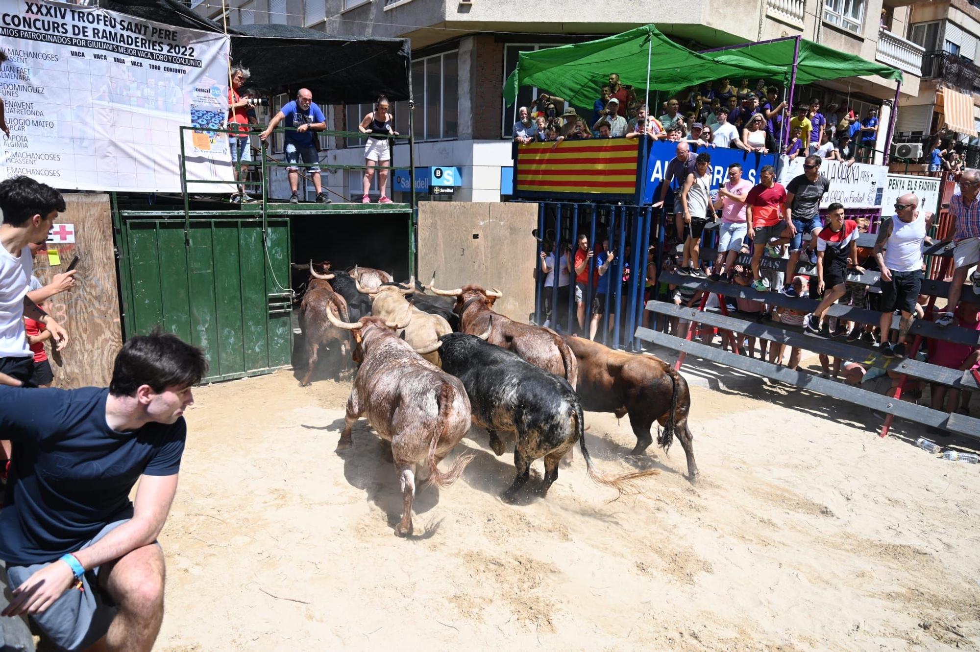 Las mejores fotos del encierro de este sábado en el Grau de Castelló por las fiestas de Sant Pere