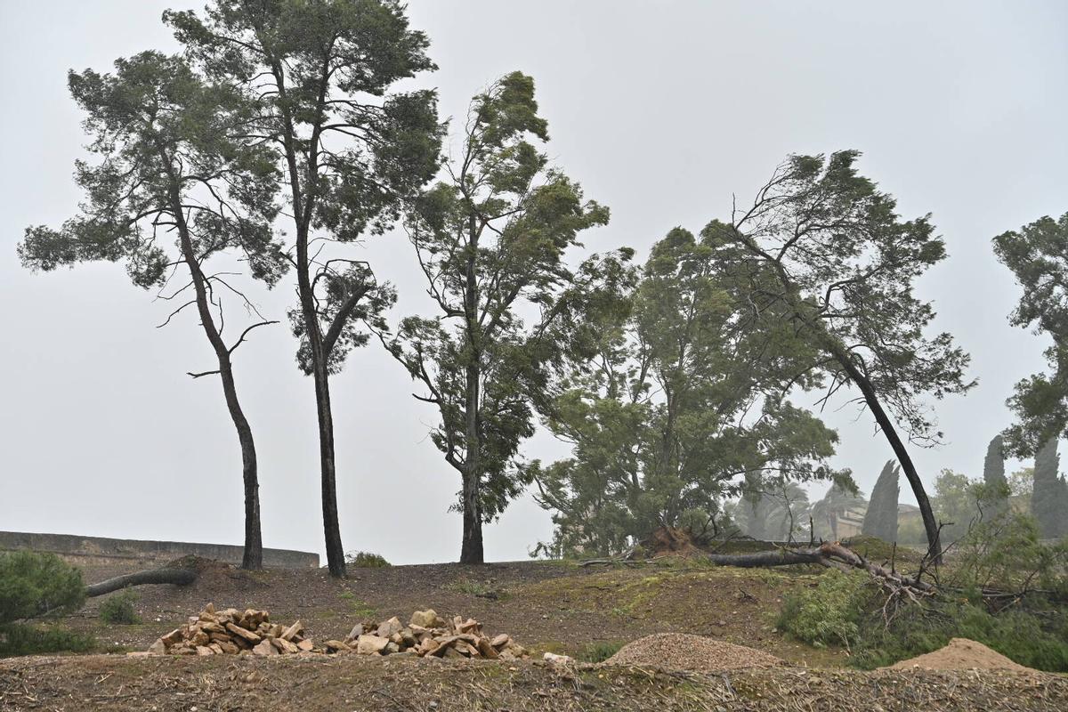 Fotogalería | Imágenes del temporal en Badajoz, este sábado
