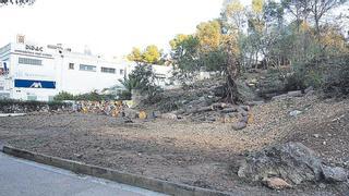 Calvià retira pinos de un terreno de Illetes afectados por el temporal