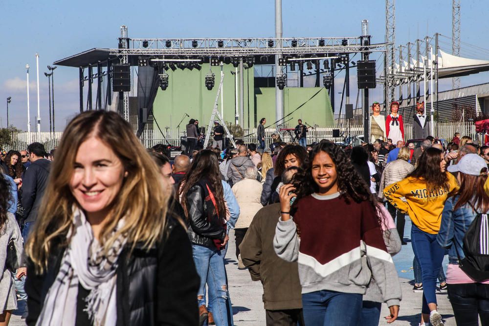 Concurso de paellas en Torrevieja