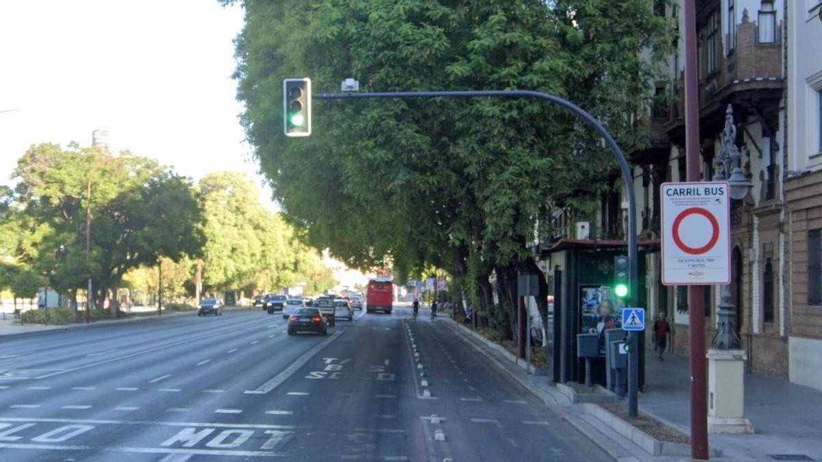 Señal que indica el carril bus en el Paseo Colón.