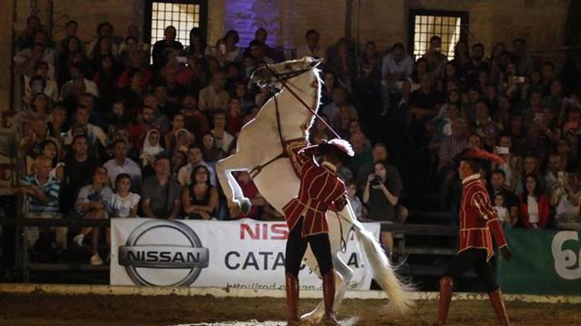 Caballerizas Reales, solución y conflicto