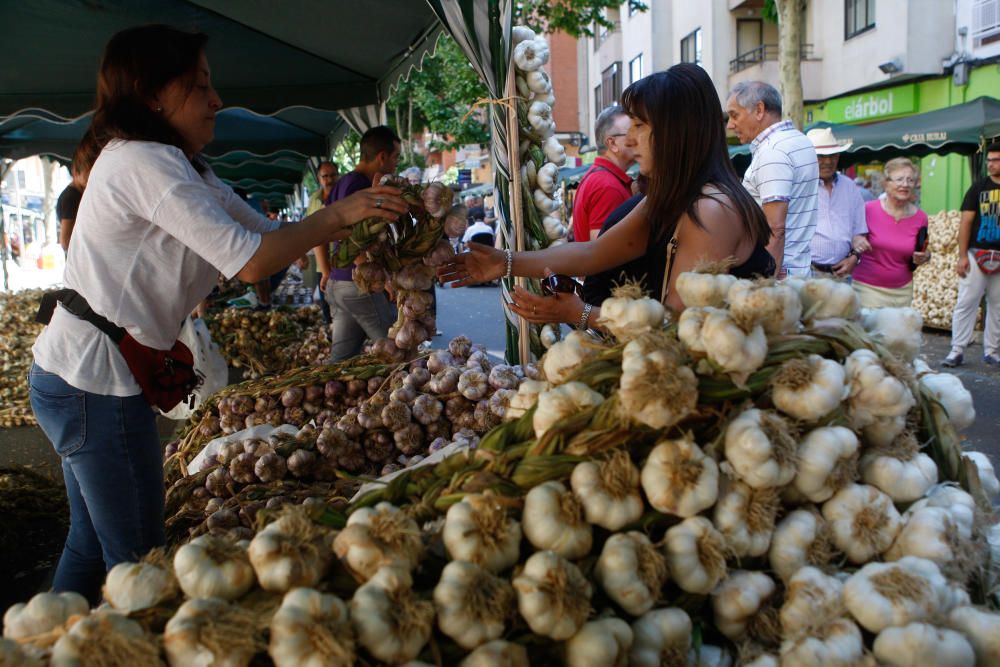 San Pedro 2016: Feria del Ajo