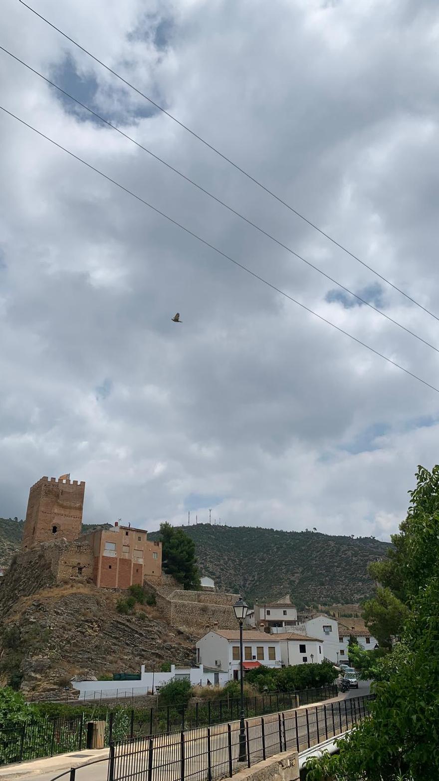 Sot de Chera, riqueza natural