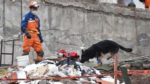 Un rescatista japonés con un perro participa en la búsqueda de supervivientes en un edificio desmoronado en Ciudad de México, el 22 de septiembre.
