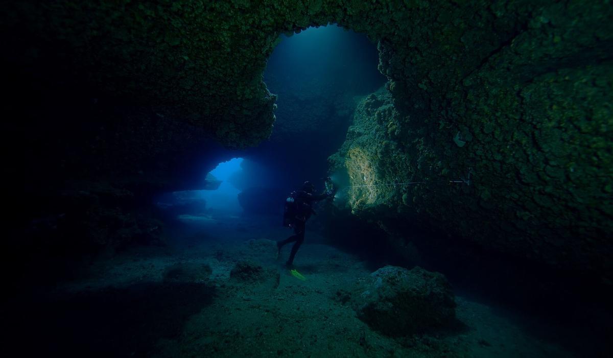 Imagen del documental "Futuro océano"