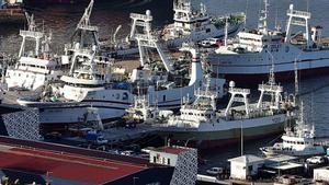 Acord Brexit: Aranzels de fins al 18% per a la pesca espanyola a les Malvines