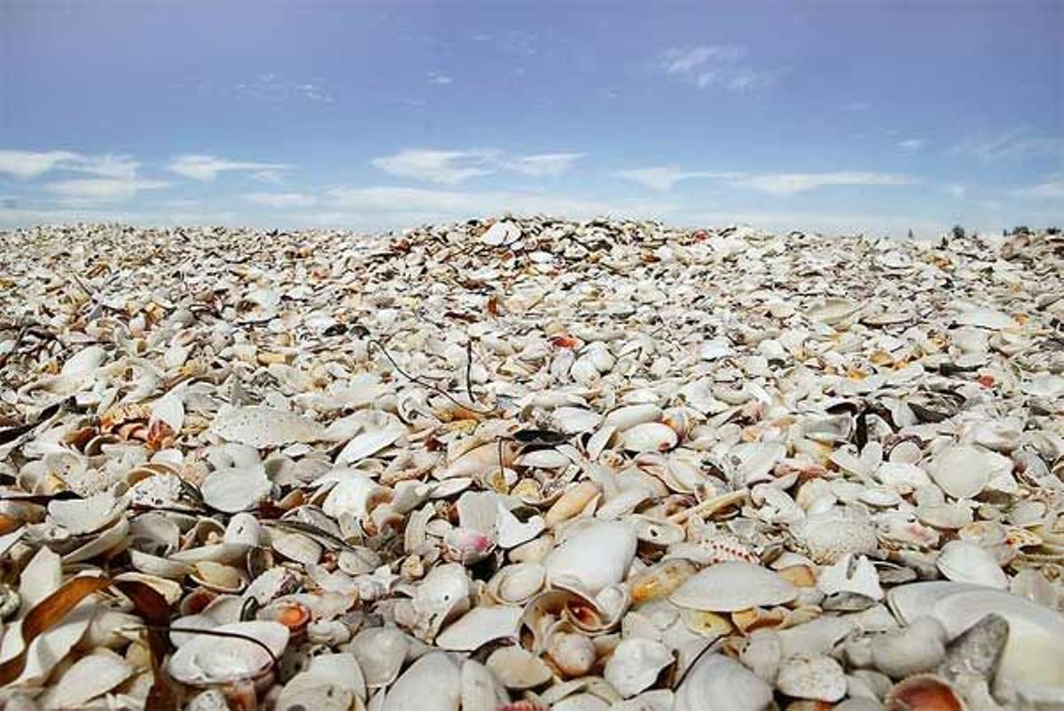 Cayo Costa, Florida (Estados Unidos)