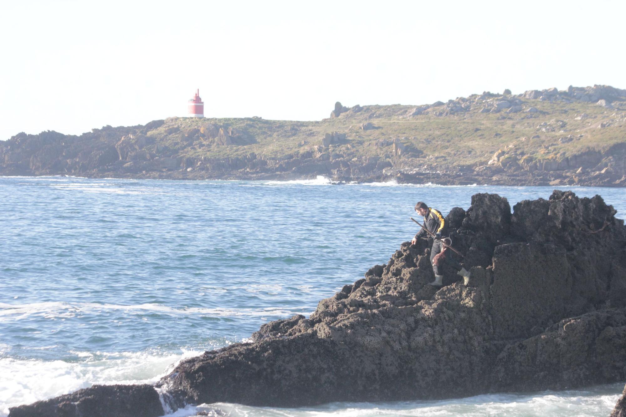 Percebeiros de Cangas vuelven al "manicomio" de la Costa da Vela