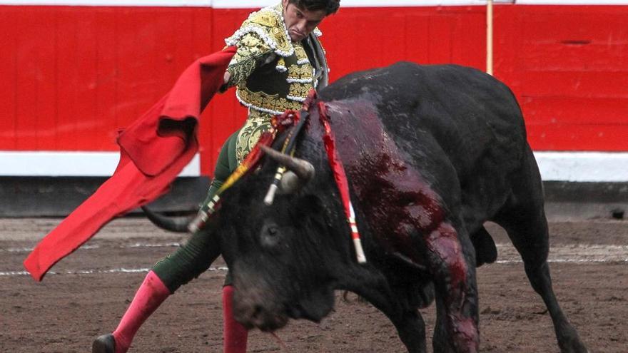 José Garrido sustituirá a Cayetano en la corrida de Toros de San Agustín