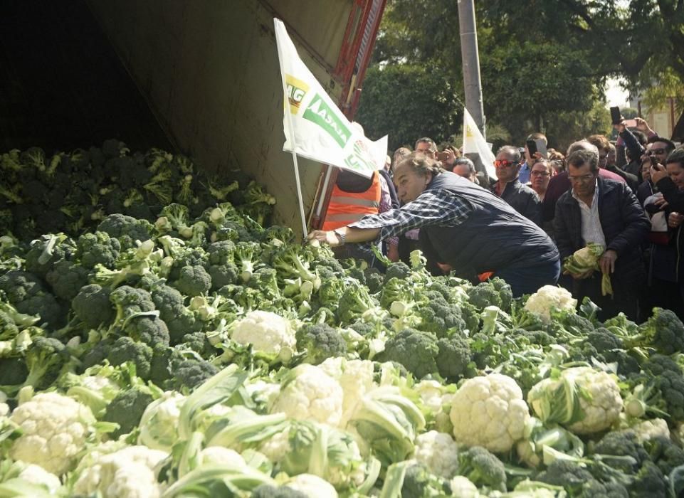 Así ha sido la manifestación de los agricultores en Murcia (II)