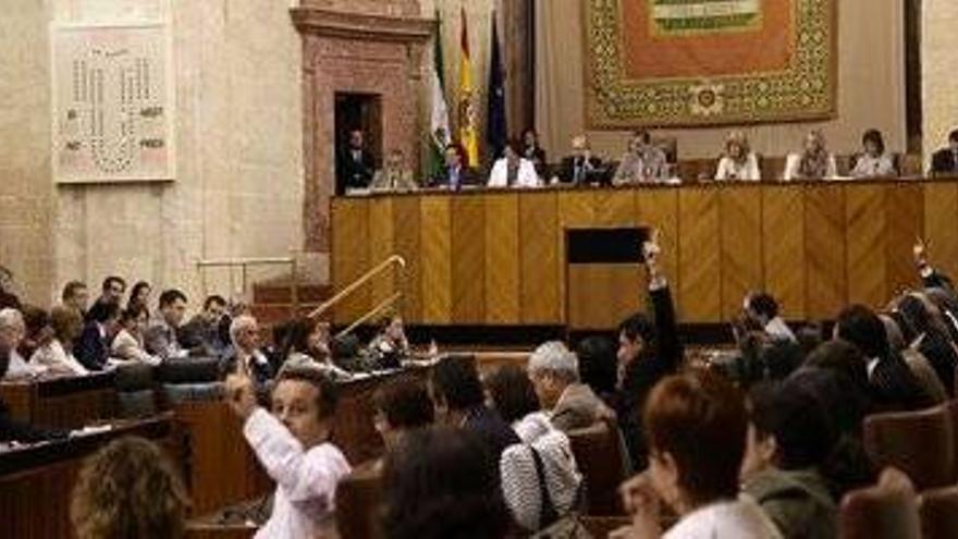 El Parlamento aprueba el plan de ajuste con dos votos en contra de IU