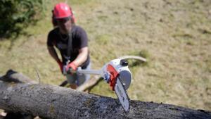 ¿Puedo cortar las ramas del árbol de mi vecino si invaden mi jardín? El Código Civil lo aclara