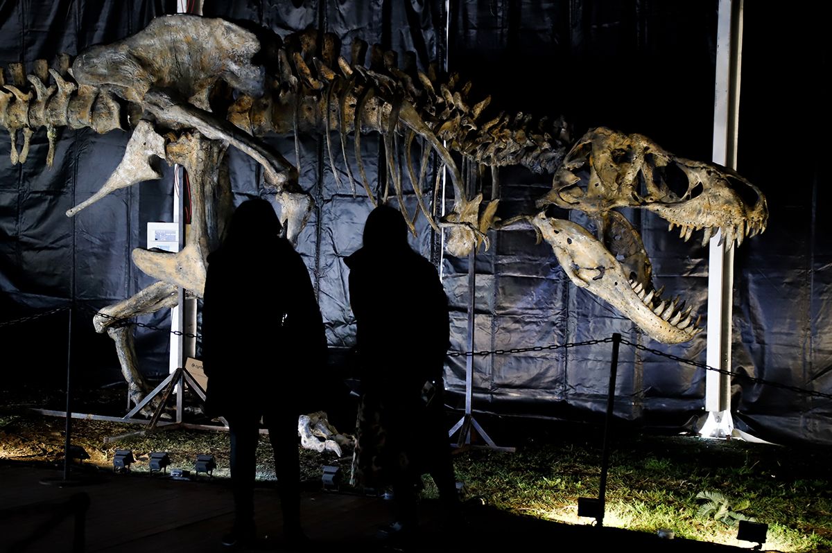 DINO EXPO XXL llega a Córdoba