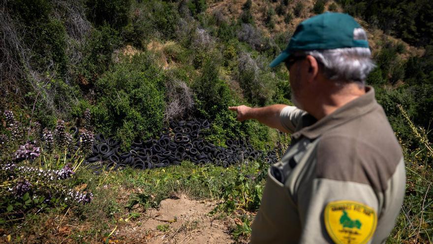 Un guarda del parc natural de Collserola assenyala un abocament de pneumàtics el juny passat.