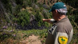 Un guarda del parque natural de Collserola señala un vertido de neumáticos el junio pasado.