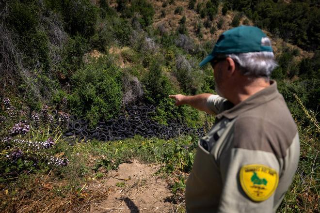 Un guarda del parque natural de Collserola señala un vertido de neumáticos el junio pasado.