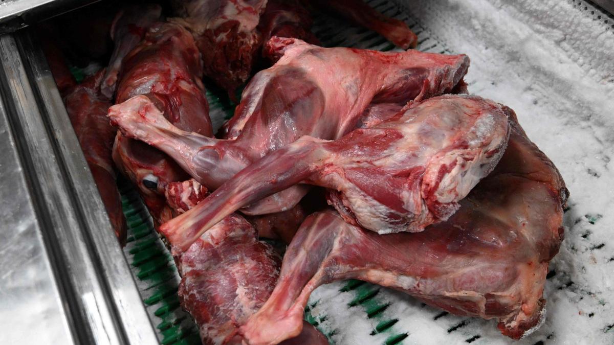 Partes de carne de perro se ven en un refrigerador en un restaurante de carne de perro en Daegu el 10 de enero de 2024. El 9 de enero, el parlamento de Corea del Sur aprobó un proyecto de ley que prohíbe la cría, el sacrificio y la venta de perros por su carne, una práctica tradicional que los activistas han llamado una vergüenza para el país.