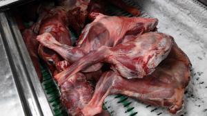 Partes de carne de perro se ven en un refrigerador en un restaurante de carne de perro en Daegu el 10 de enero de 2024. El 9 de enero, el parlamento de Corea del Sur aprobó un proyecto de ley que prohíbe la cría, el sacrificio y la venta de perros por su carne, una práctica tradicional que los activistas han llamado una vergüenza para el país.