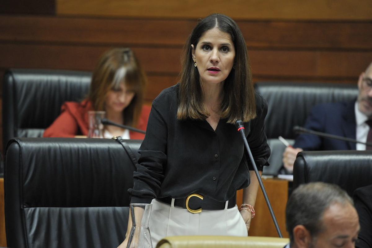 Fotogalería | Sesión plenaria en la Asamblea de Extremadura