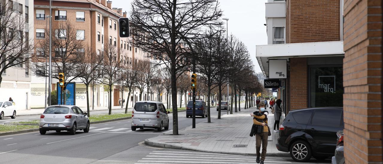 Un tramo de la avenida de Juan Carlos I.