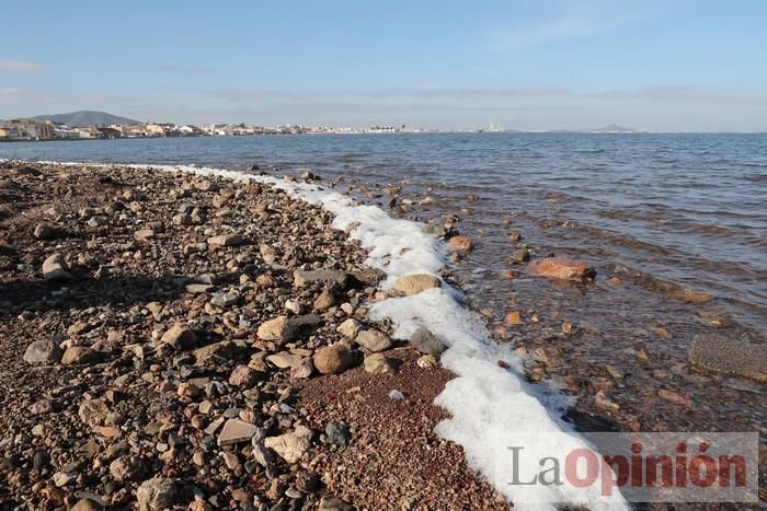 SOS Mar Menor retira dos toneladas de basura