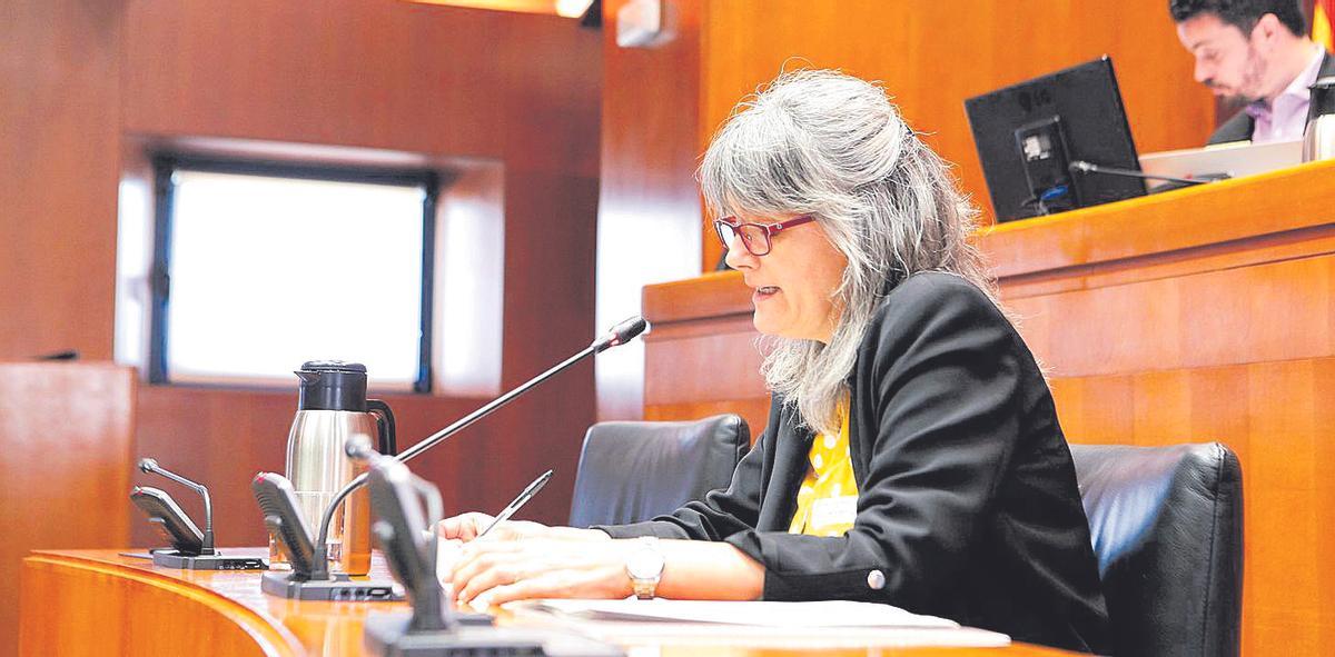 Anabel García Recio, coordinadora del grupo de vivienda de REAS Aragón, comparenciando en las Cortes