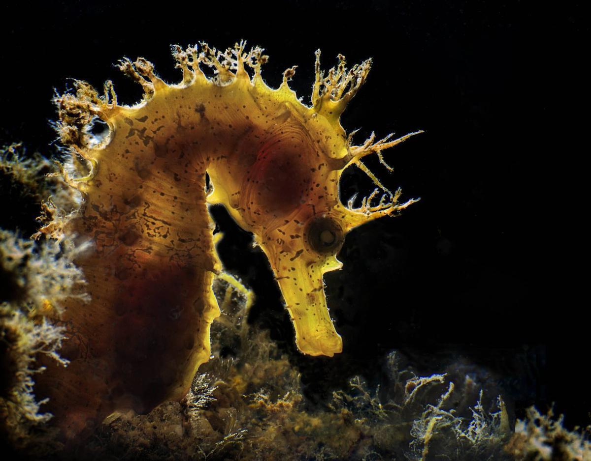 Creatividad con la luz