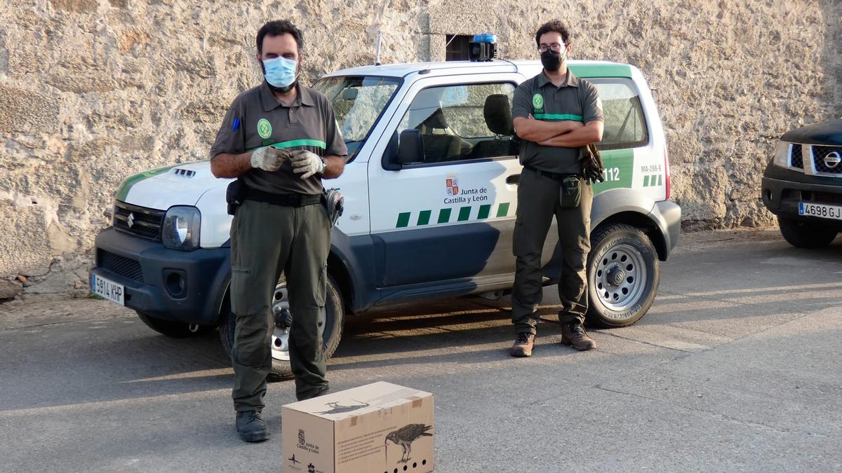 Una de las cajas con la lechuza recuperada