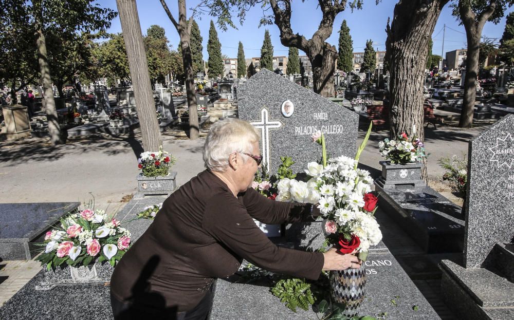 Lleno en el Cementerio de Alicante