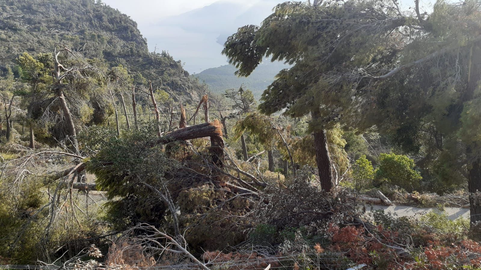 Francina Armengol visita la ‘zona cero’ de la catástrofe ambiental en Banyalbufar