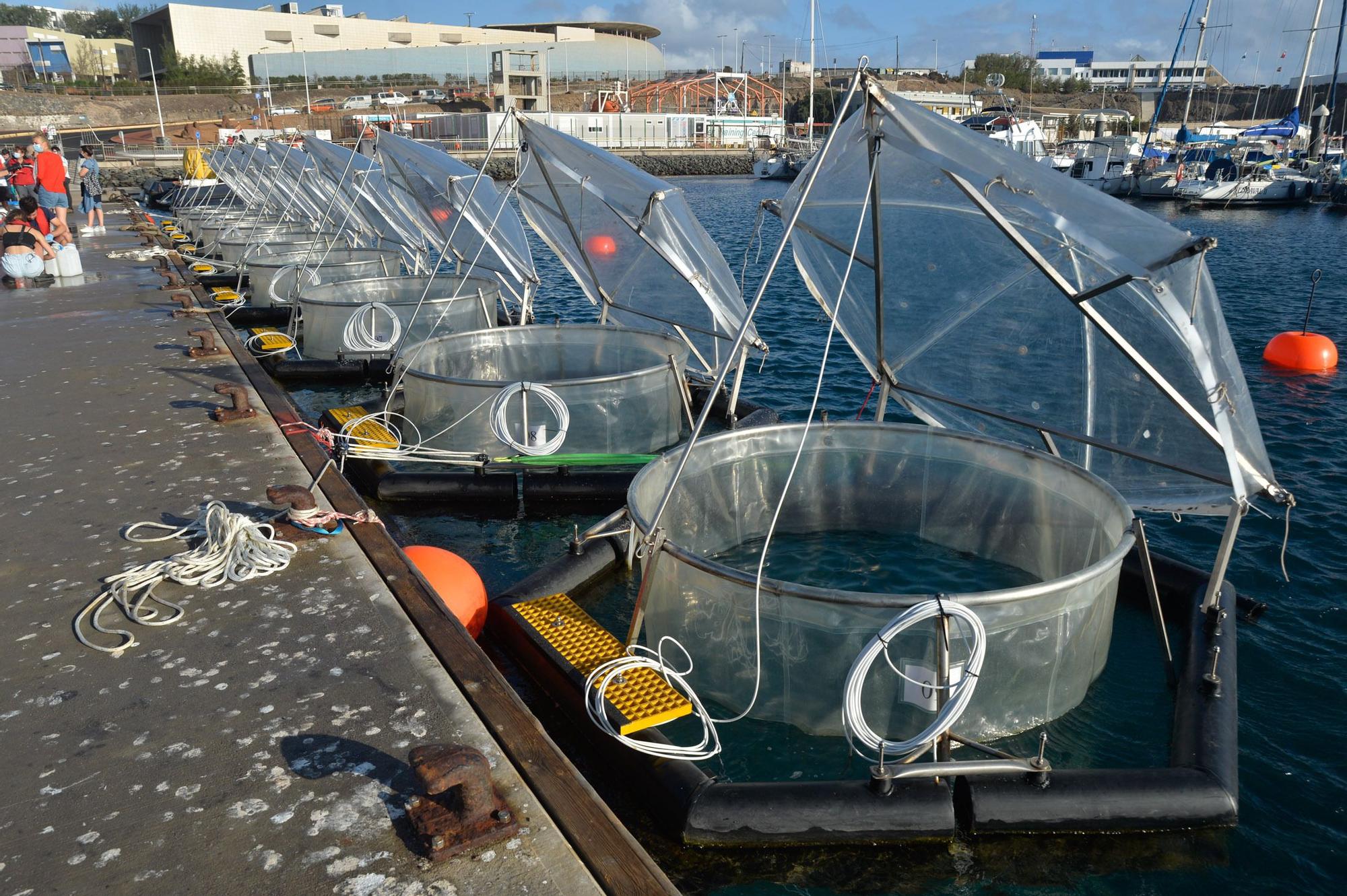 Experimento en el mar para averiguar como eliminar dióxido de carbono