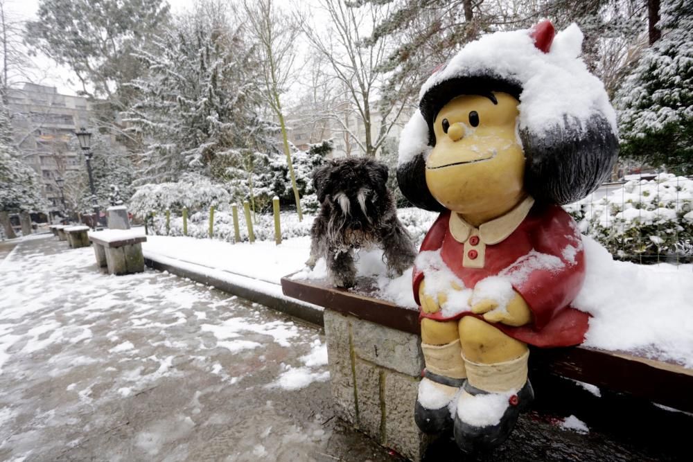 Las 40 fotos que te harán echar de menos el invierno (y la nieve) en Asturias