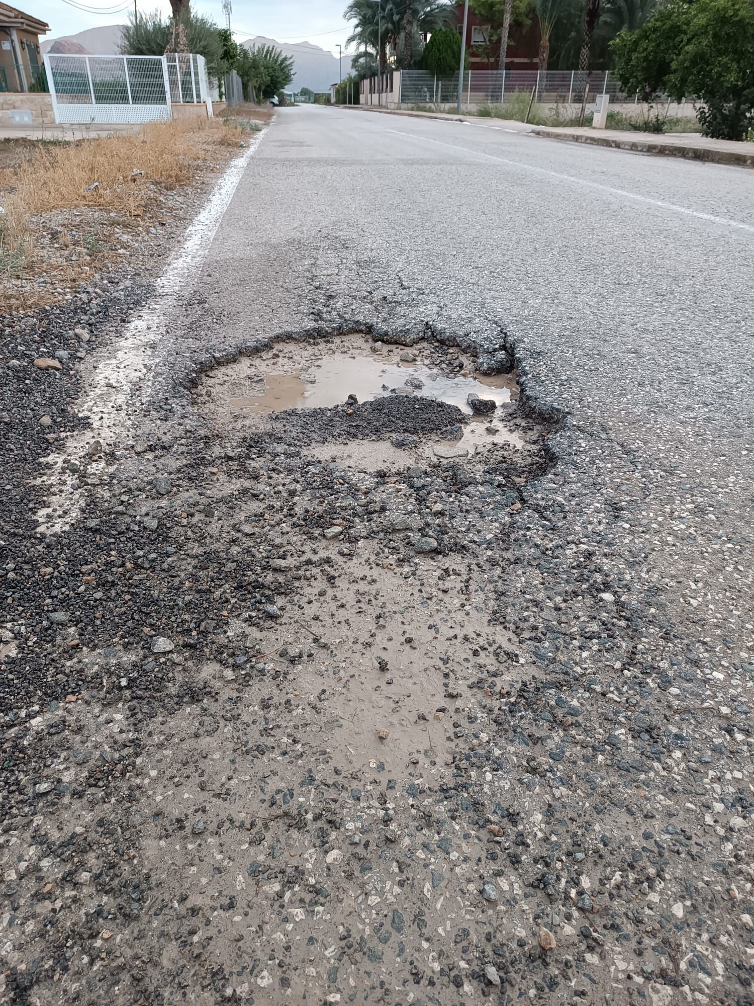 WhatsApp Image 2025-10-01 at 09.34.03 (3).jpeg