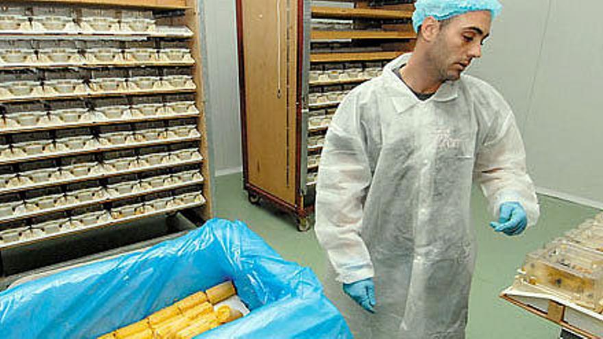 Un trabajador observa, ayer, cajas que contienen productos para tratar plagas en la agricultura.  YAIZA SOCORRO