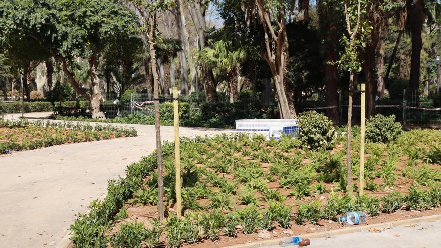 Actuaciones para frenar la plaga de mosquitos en cuatro parques de Castelló