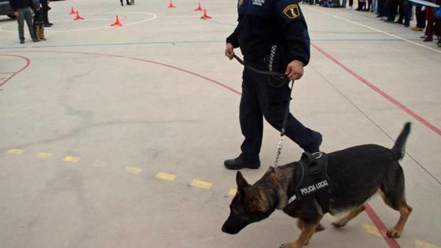 La perra policía de Onda da a a luz a un nuevo miembro de la patrulla